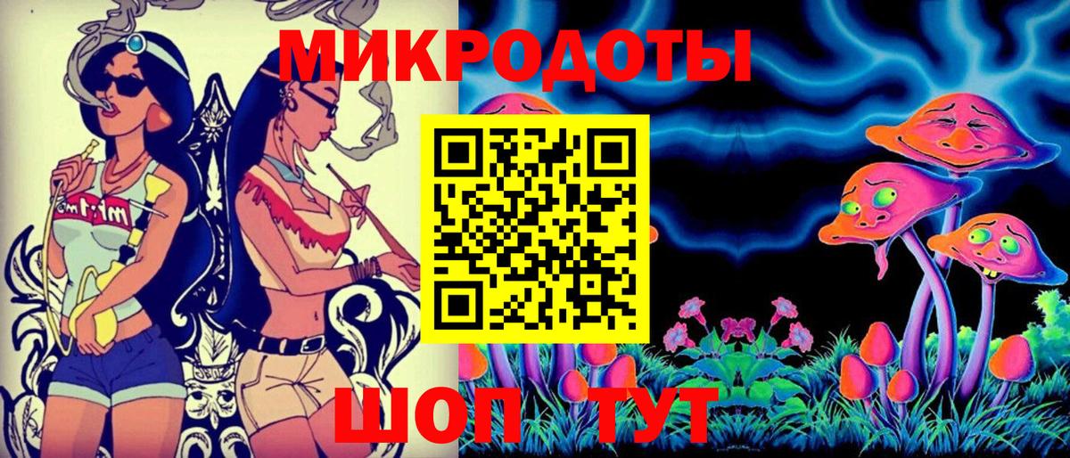 Галлюциногенные грибы Psilocybine cubensis Конаково